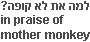 text in hebrew
